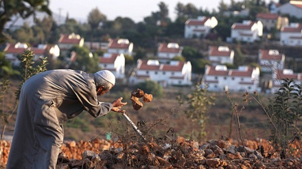 Israel beschlagnahmt  234 Hektar großes Gebiet  in der Westbank 
