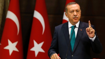 Türkischer Präsident bestätigt neues Kabinett 