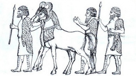In Iran gerühmt, in der Welt berühmt (2- historische Wurzeln)