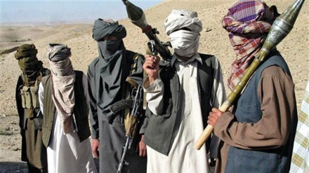 Dutzende Taliban in Afghanistan getötet