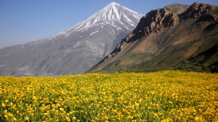 Der höchste Berg Irans 