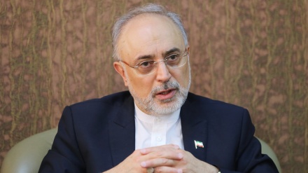 Bau von zwei Kernkraftwerken in Iran bis Ende dieses Jahres