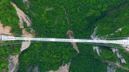 Höchste und längste Glasbrücke in China eröffnet 
