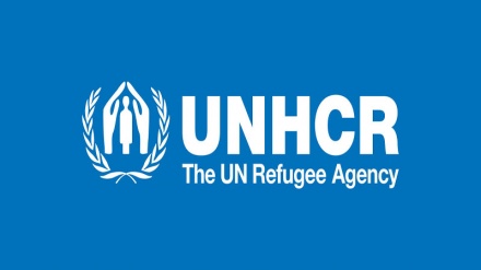UNHCR fordert besseren Flüchtlingsschutz in Deutschland