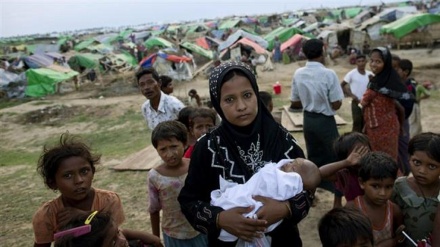 Rohingya - die am meisten unterdrückte Minderheit auf der Welt (5)