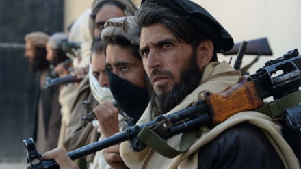 Tausende Taliban leben als Flüchtlinge in Deutschland 