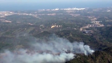 Japan: Schwerer Waldbrand in Fukushima