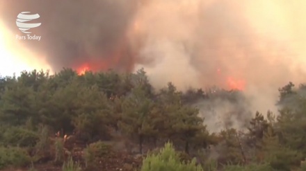 Hitzewelle löst Waldbrände in Türkei aus