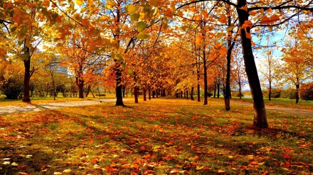 Herbst, König der Jahreszeiten 