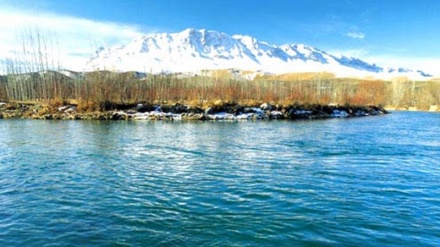Iran: 11.000 Vögel in Gandoman-Lagune