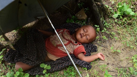 Protestkundgebung in Dänemark gegen Tötung der Rohingya-Muslime