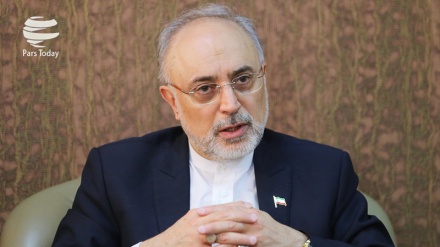 Chef der iranischen Atomenergieorganisation spricht mit  IAEA-Chef  über Zukunft des Atomabkommens