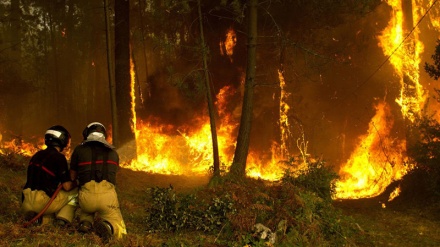 322 Tote bei Hitzewelle in Spanien und Portugal