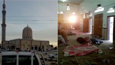 EU verurteilt Terroranschlag auf Sinai-Halbinsel 