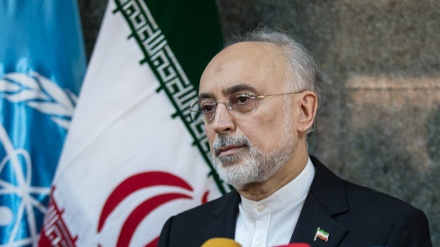 Salehi: IAEA ist für Bestätigung der Verpflichtungen Irans aus JCPOA zuständig