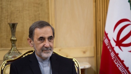 Berater des Revolutionsführers: Iran gehört zu den Ländern mit dem großen wissenschaflichen Fortschritt