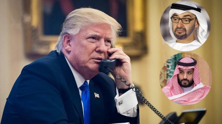 Trump telefoniert mit Kronprinzen Saudi-Arabiens und der Vereinigten Arabischen Emirate über Iran