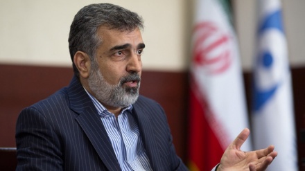 Sprecher der Atomenergieorganisation lehnt Gespräch über Verteidigungsfähigkeit Irans ab