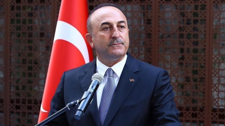 Türkischer Außenminister fordert Entsendung internationaler Kräfte nach Palästina