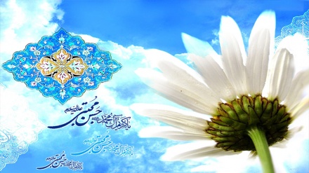 Lotsen zum göttlichen Hafen ( und ihre Politik)  (29 - Imam Hasan (F))  