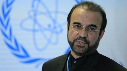 Irans Vertreter bei IAEA: Maßnahmen einiger Staaten stellen Vorteile der Mitgliedschaft in NPT in Frage 