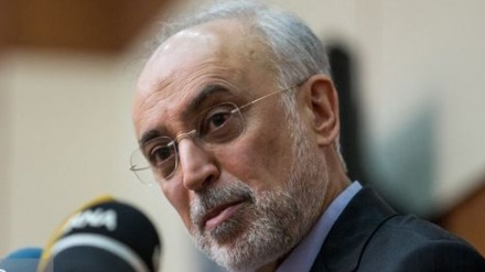 Salehi: England ersetzt die USA beim Umbau des Schwerwasserreaktors in Arak