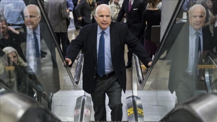 US-Politikerin entlarvt McCains Rolle bei Gründung des IS 