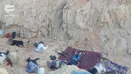 Ägypten: 18 mutmaßliche Terroristen bei Gefechten mit Armee  getötet