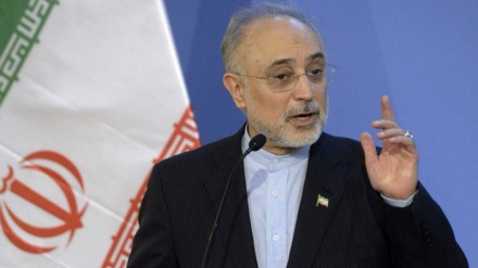 Iran zu Übertragung von nukleartechnologischem Wissen an Nachbarländer bereit