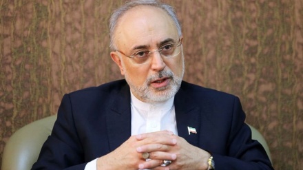 Salehi: Erfolge des Atomabkommens dienen zur Erprobung der IAEA-Glaubwürdigkeit
