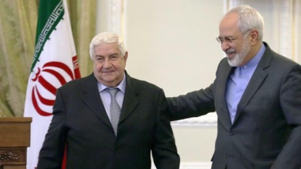 Zarif: Die Terroristen sind gegen Stabiliät in Syrien und der Region