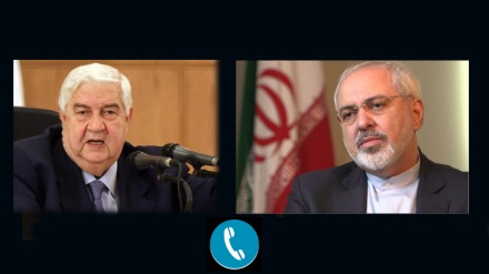 Außenminister Irans und Syriens sprachen über strategische Themen