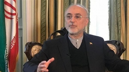 Chef der iranischen Atomenergiebehörde bekräftigt Fortschritt in der Nuklearindustrie