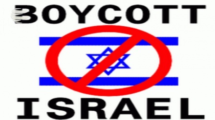 Uni-Dozenten in Europa fordern Waffenembargo gegen Israel