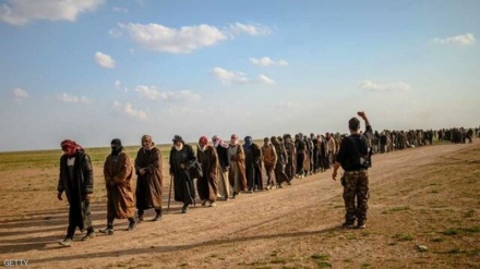 London und Brüssel fordern Prozess gegen IS-Terroristen im Irak und in Syrien