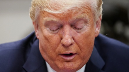 US-amerikanische Kulturschaffende protestieren gegen Trumps Terrorakte