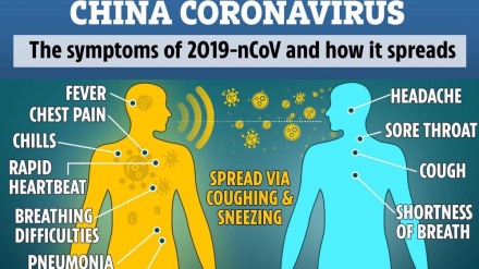 Das neuartige Corona- Virus und die jüngsten Erkenntnisse über mögliche Behandlungsmethoden