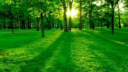 13.1.1400 – Tag der Natur
