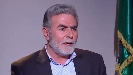 Palästinensisch-islamischer Dschihad betont Bedeutung der Aussagen des Revolutionsoberhaupts am Al-Quds-Tag