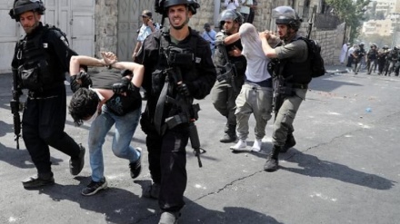 Österreich: Pro-Palästina-Aktivisten verurteilen israelische Verbrechen in Gaza