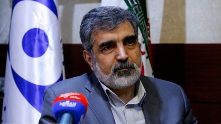 Iran: Atomenergieorganisation realisiert Gesetz zur Aufhebung der Sanktionen 