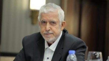AI kritisiert Haftbedingungen von Hamas-Vertreter in saudi-arabischem Gefängnis