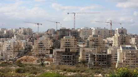 Menschenrechtsorganisation kritisiert israelische Verbrechen gegen Palästinenser