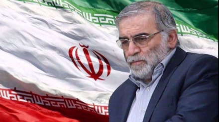 Berühmter iranischer Physiker in der Nähe von Teheran ermordet