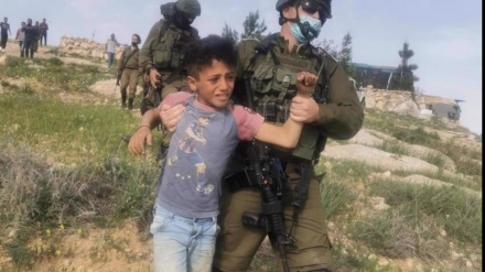 Israelische Truppen nehmen verängstigte palästinensische Kinder fest, weil sie Gemüse gepflückt haben