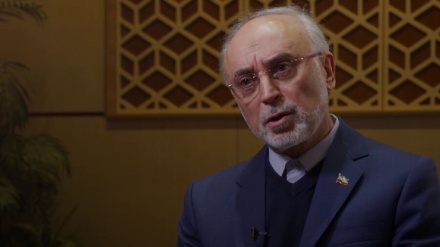 Salehi: Fatwa des Revolutionsführers über Verbot des Einsatzes von Atombomben, ist letztes Wort Irans