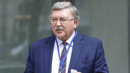 Russland kündigt Fortsetzung von Wiener Atomgesprächen in naher Zukunft an