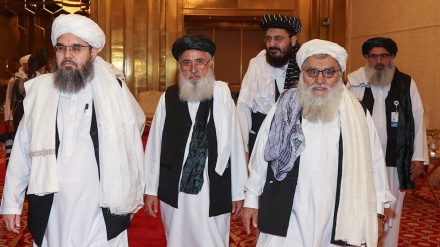 Ausländische Missionen in Kabul fordern Taliban auf, 