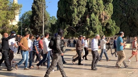 EU zeigt sich besorgt über Eindringen extremistischer Juden in die Al-Aqsa-Moschee