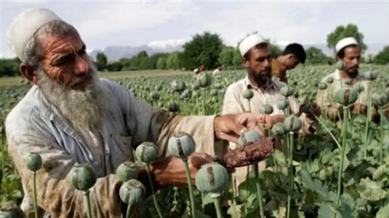 Russlands Sicherheitschef: USA haben Afghanistan in letzten 20 Jahren in ein weltweites Drogenlabor verwandelt